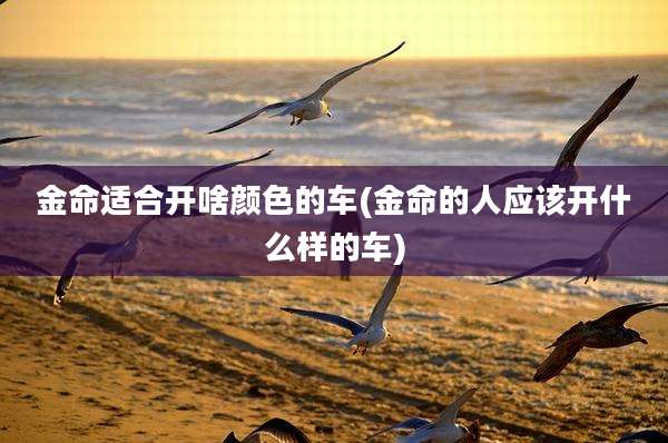 金命适合开啥颜色的车(金命的人应该开什么样的车)