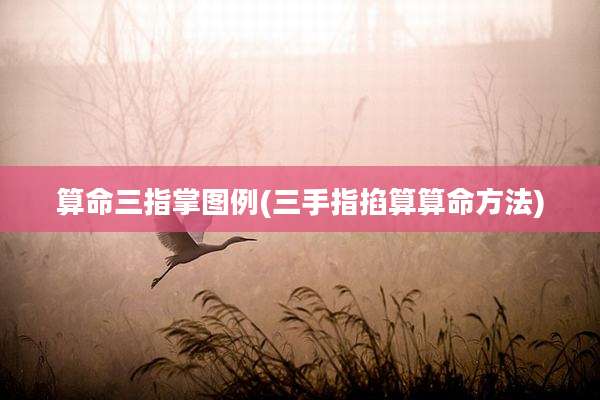 算命三指掌图例(三手指掐算算命方法)