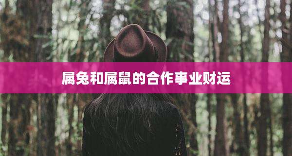 属兔和属鼠的合作事业财运