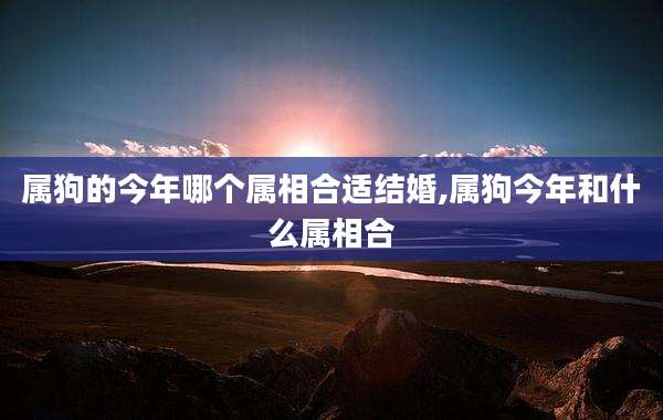 属狗的今年哪个属相合适结婚,属狗今年和什么属相合