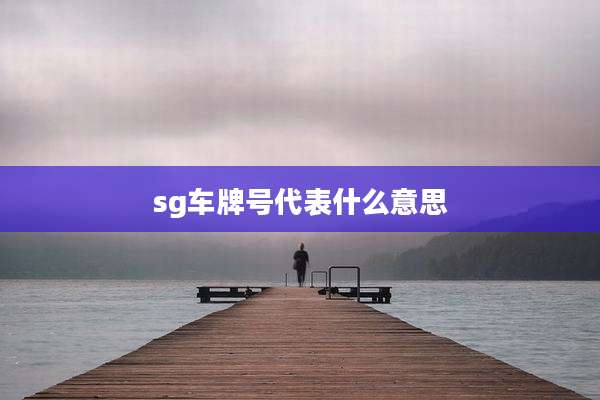 sg车牌号代表什么意思