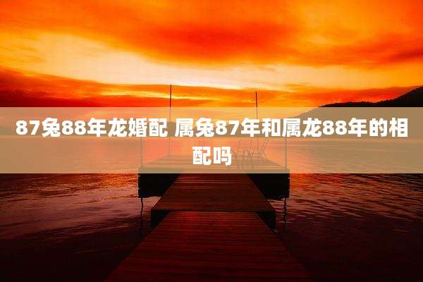 87兔88年龙婚配 属兔87年和属龙88年的相配吗