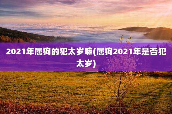 2021年属狗的犯太岁嘛(属狗2021年是否犯太岁)