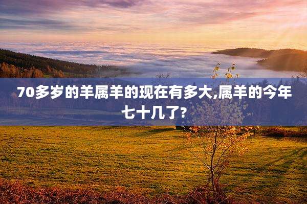 70多岁的羊属羊的现在有多大,属羊的今年七十几了?