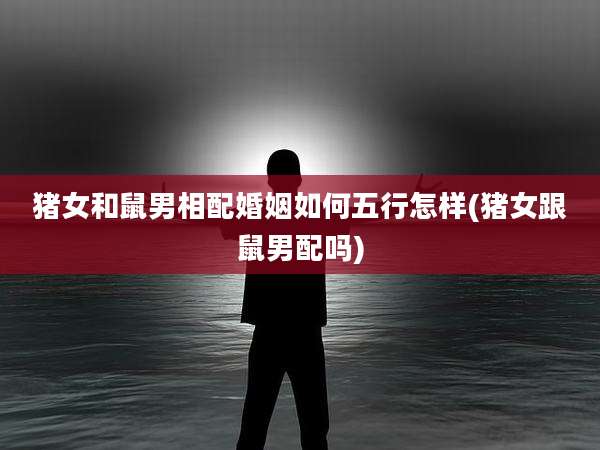猪女和鼠男相配婚姻如何五行怎样(猪女跟鼠男配吗)