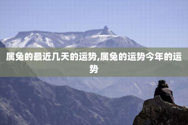 属兔的最近几天的运势,属兔的运势今年的运势