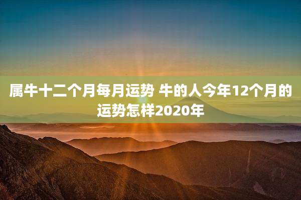 属牛十二个月每月运势 牛的人今年12个月的运势怎样2020年