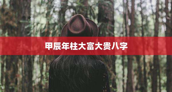 甲辰年柱大富大贵八字