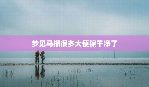 梦见马桶很多大便擦干净了
