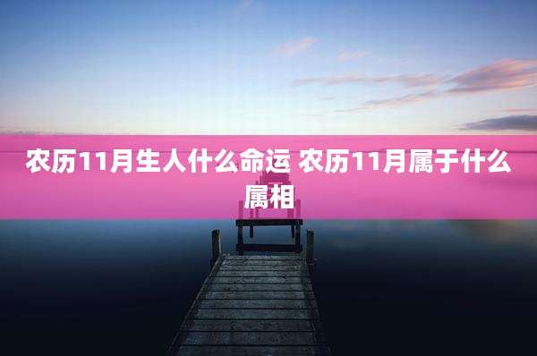 农历11月生人什么命运 农历11月属于什么属相