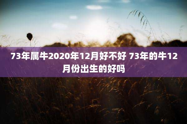 73年属牛2020年12月好不好 73年的牛12月份出生的好吗