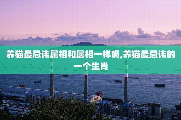 养猫最忌讳属相和属相一样吗,养猫最忌讳的一个生肖