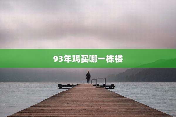 93年鸡买哪一栋楼