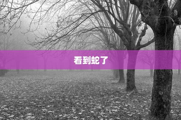 看到蛇了