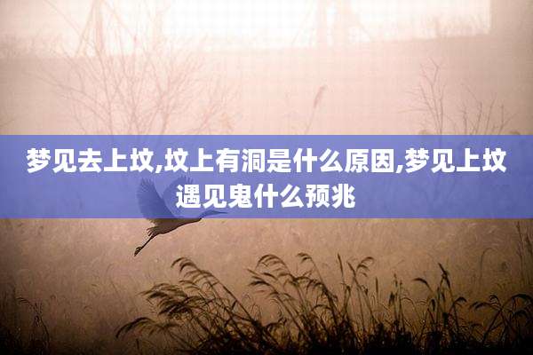 梦见去上坟,坟上有洞是什么原因,梦见上坟遇见鬼什么预兆