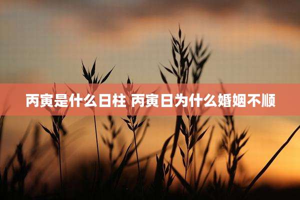 丙寅是什么日柱 丙寅日为什么婚姻不顺