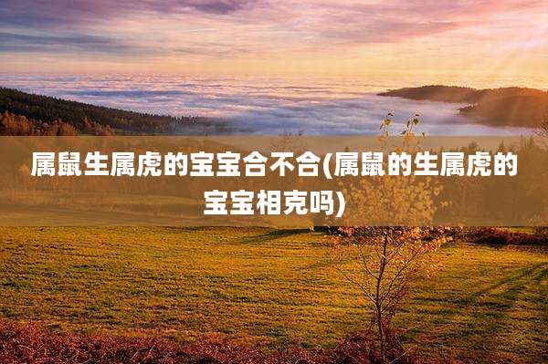 属鼠生属虎的宝宝合不合(属鼠的生属虎的宝宝相克吗)