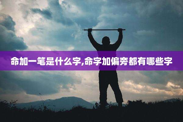 命加一笔是什么字,命字加偏旁都有哪些字
