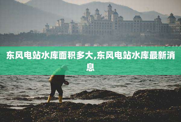 东风电站水库面积多大,东风电站水库最新消息