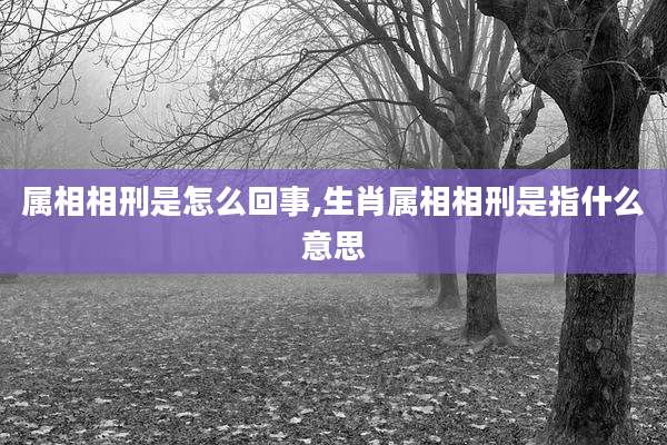 属相相刑是怎么回事,生肖属相相刑是指什么意思