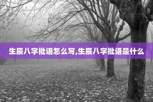 生辰八字批语怎么写,生辰八字批语是什么