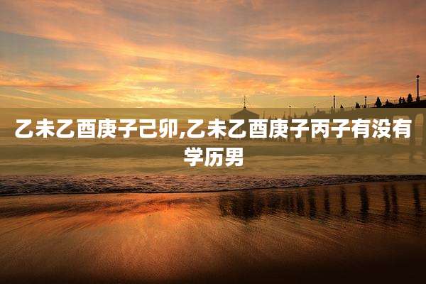 乙未乙酉庚子己卯,乙未乙酉庚子丙子有没有学历男