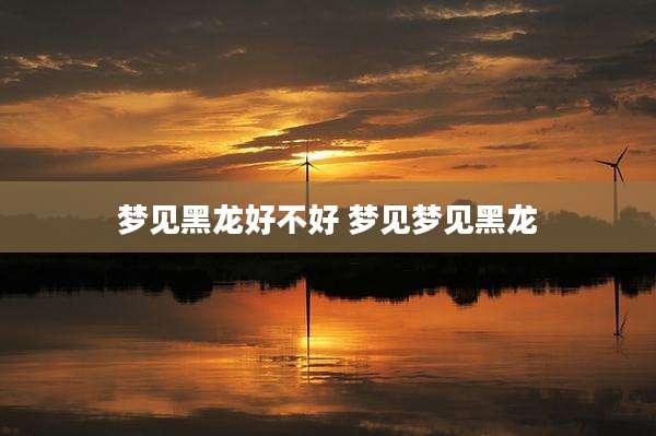 梦见黑龙好不好 梦见梦见黑龙