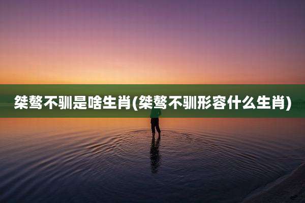 桀骜不驯是啥生肖(桀骜不驯形容什么生肖)