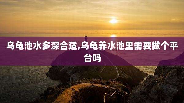 乌龟池水多深合适,乌龟养水池里需要做个平台吗