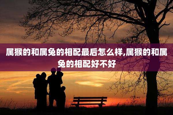 属猴的和属兔的相配最后怎么样,属猴的和属兔的相配好不好