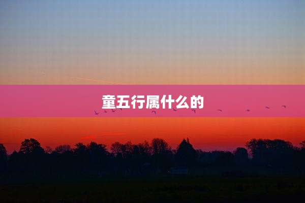 童五行属什么的