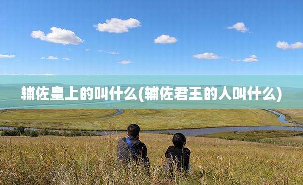 辅佐皇上的叫什么(辅佐君王的人叫什么)
