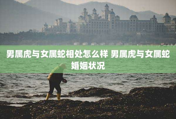 男属虎与女属蛇相处怎么样 男属虎与女属蛇婚姻状况