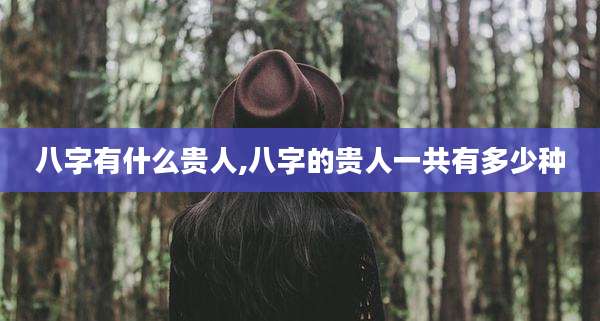 八字有什么贵人,八字的贵人一共有多少种