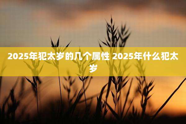 2025年犯太岁的几个属性 2025年什么犯太岁