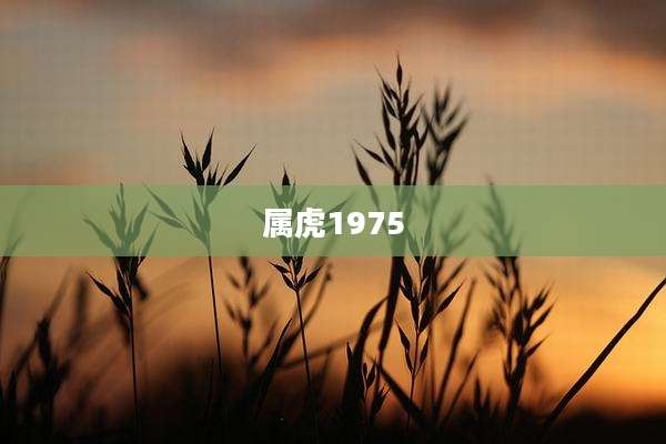 属虎1975