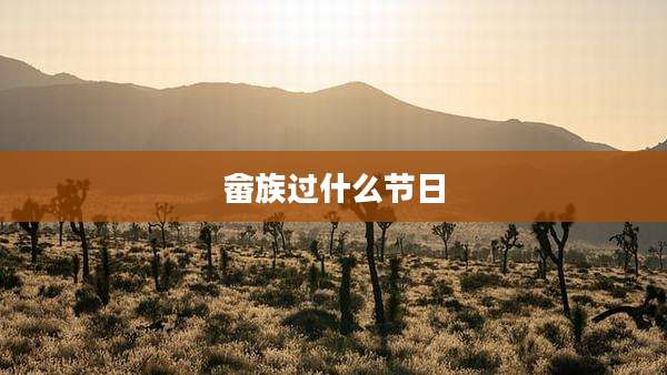 畲族过什么节日