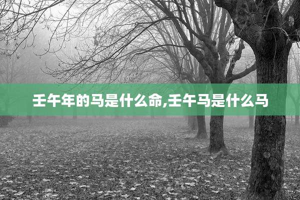 壬午年的马是什么命,壬午马是什么马