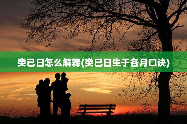 癸已日怎么解释(癸巳日生于各月口诀)