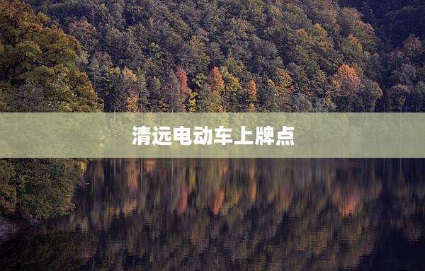 清远电动车上牌点