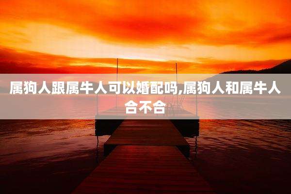 属狗人跟属牛人可以婚配吗,属狗人和属牛人合不合