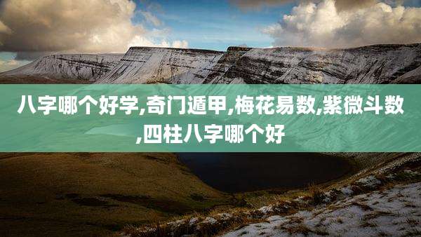 八字哪个好学,奇门遁甲,梅花易数,紫微斗数,四柱八字哪个好