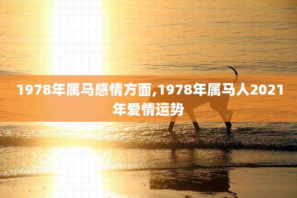 1978年属马感情方面,1978年属马人2021年爱情运势