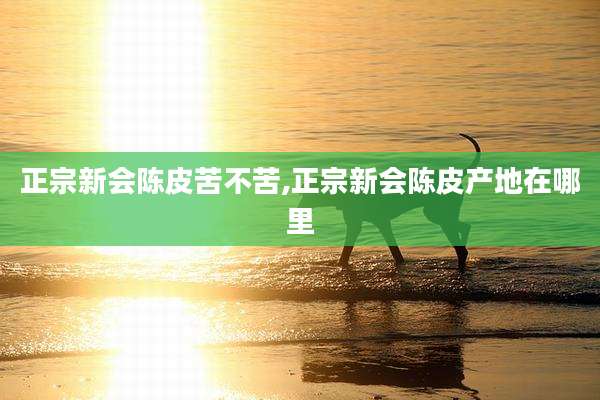 正宗新会陈皮苦不苦,正宗新会陈皮产地在哪里