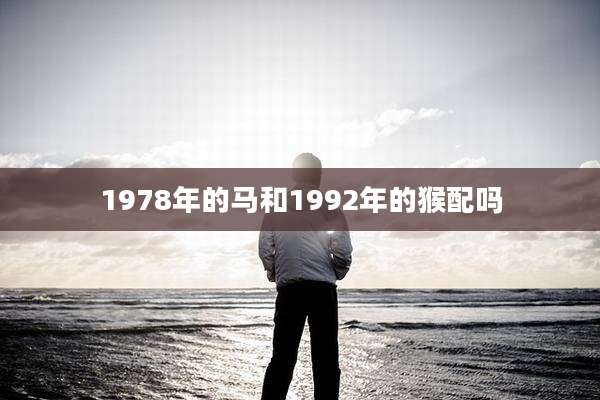 1978年的马和1992年的猴配吗