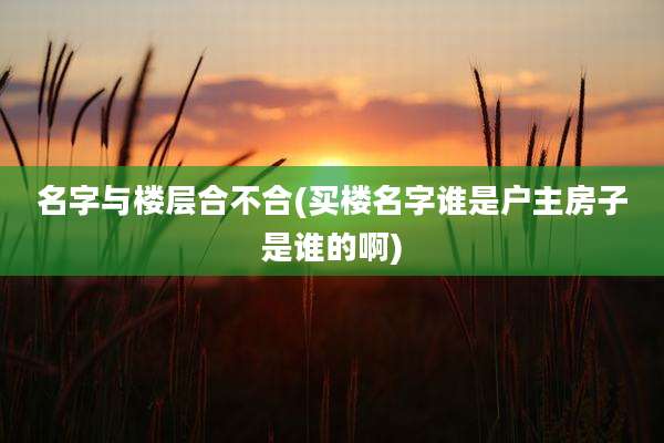 名字与楼层合不合(买楼名字谁是户主房子是谁的啊)