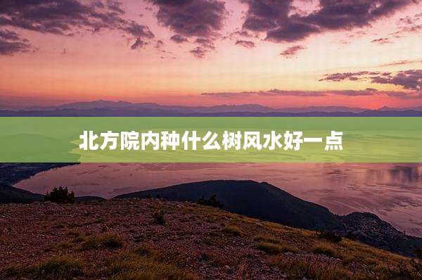 北方院内种什么树风水好一点