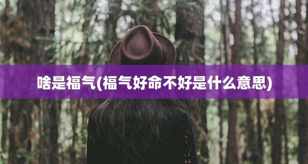 啥是福气(福气好命不好是什么意思)