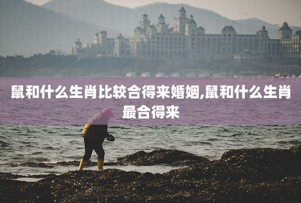 鼠和什么生肖比较合得来婚姻,鼠和什么生肖最合得来