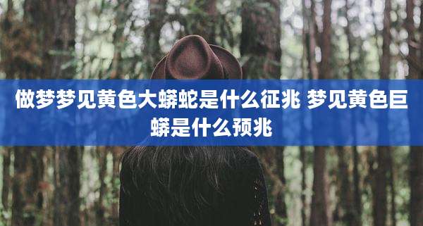 做梦梦见黄色大蟒蛇是什么征兆 梦见黄色巨蟒是什么预兆